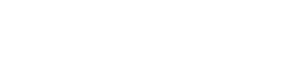 platinum fitness logo