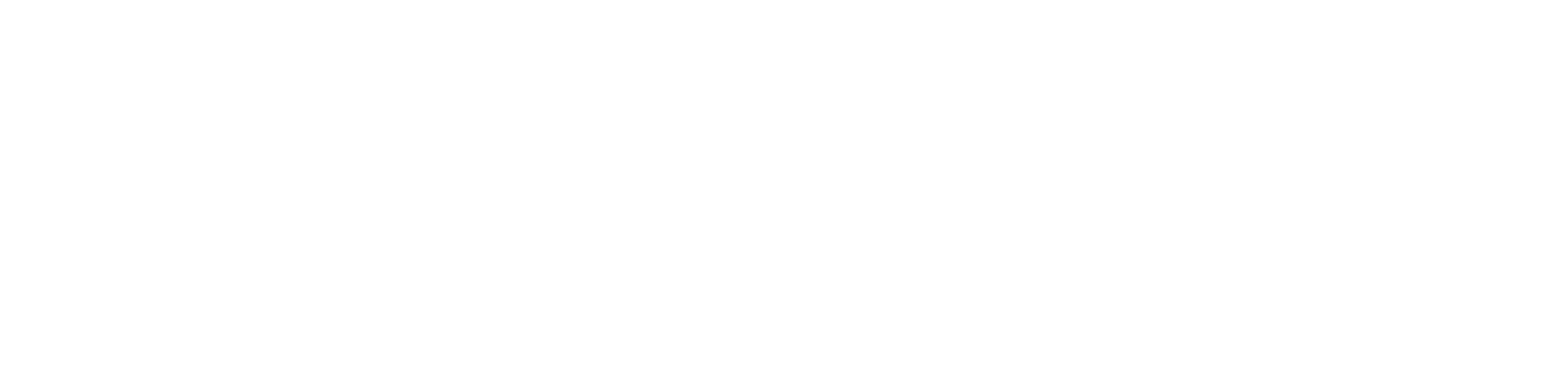 platinum fitness logo