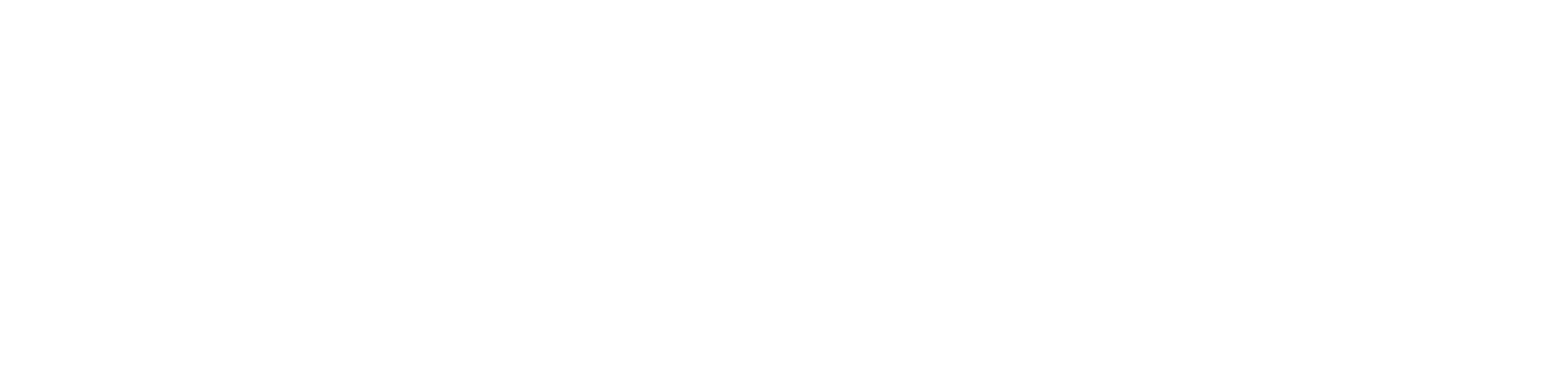 platinum fitness logo